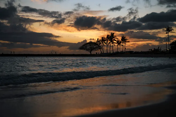 Golden-hour sunset over Waikiki Beach with palm trees, Oahu, Hawaii