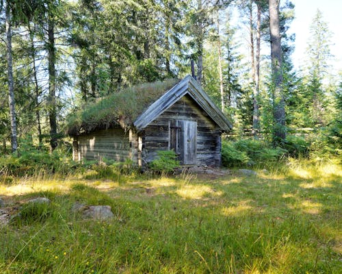 Gratis lagerfoto af bungalow, familie, forladt