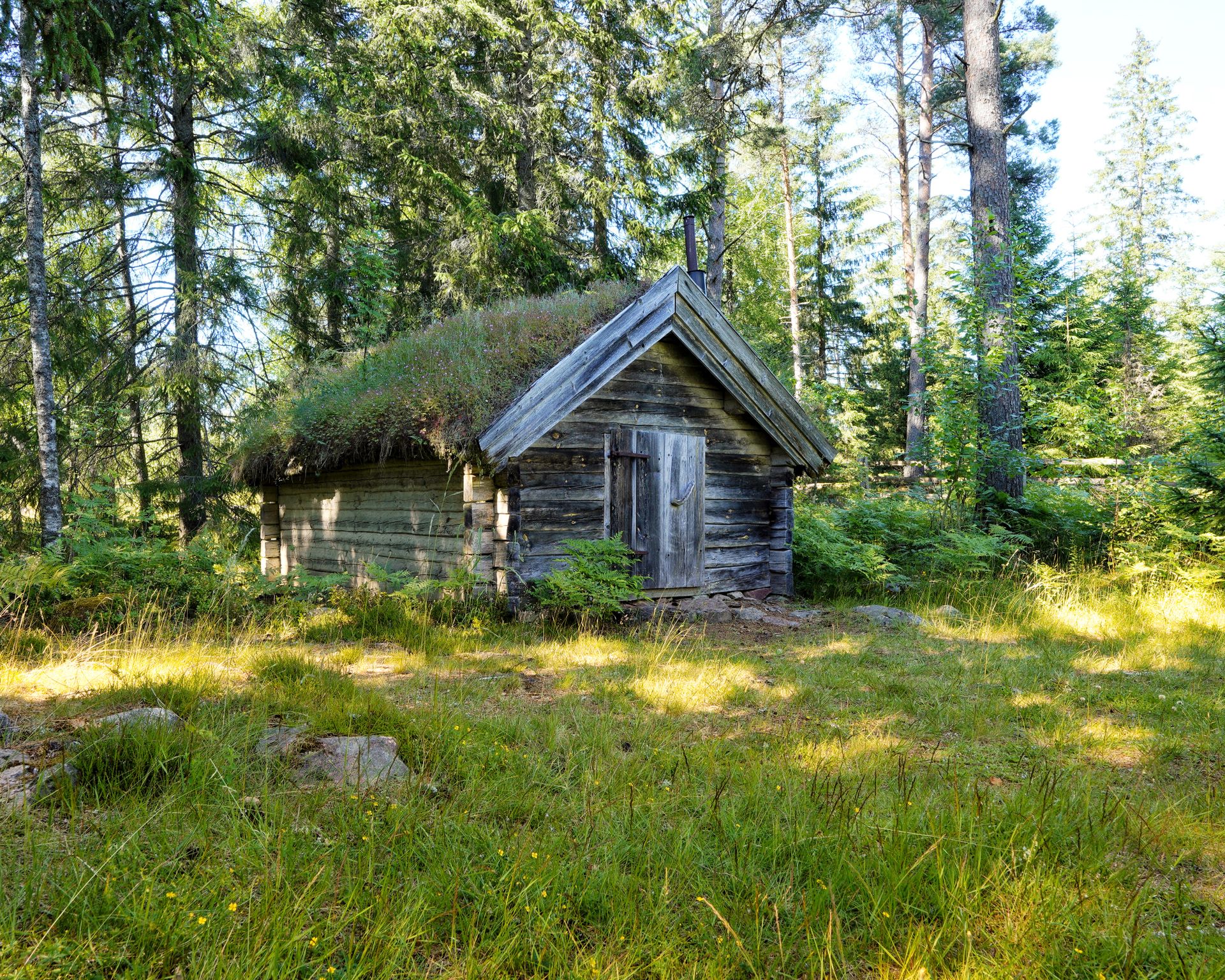 Log Shed by the Forest with a Roof Overgrown with Grass