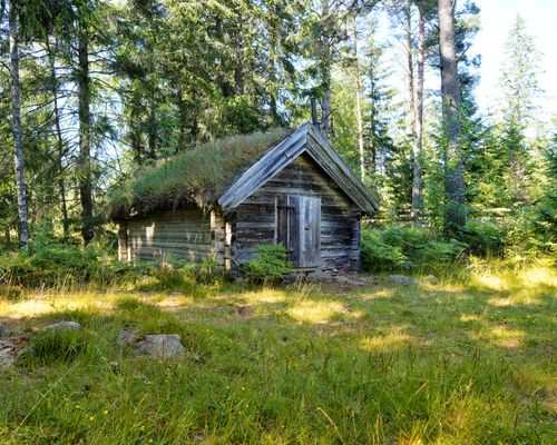 Free Charming wooden log shed with grass roof in a tranquil forest landscape, ideal for rustic retreats. Stock Photo