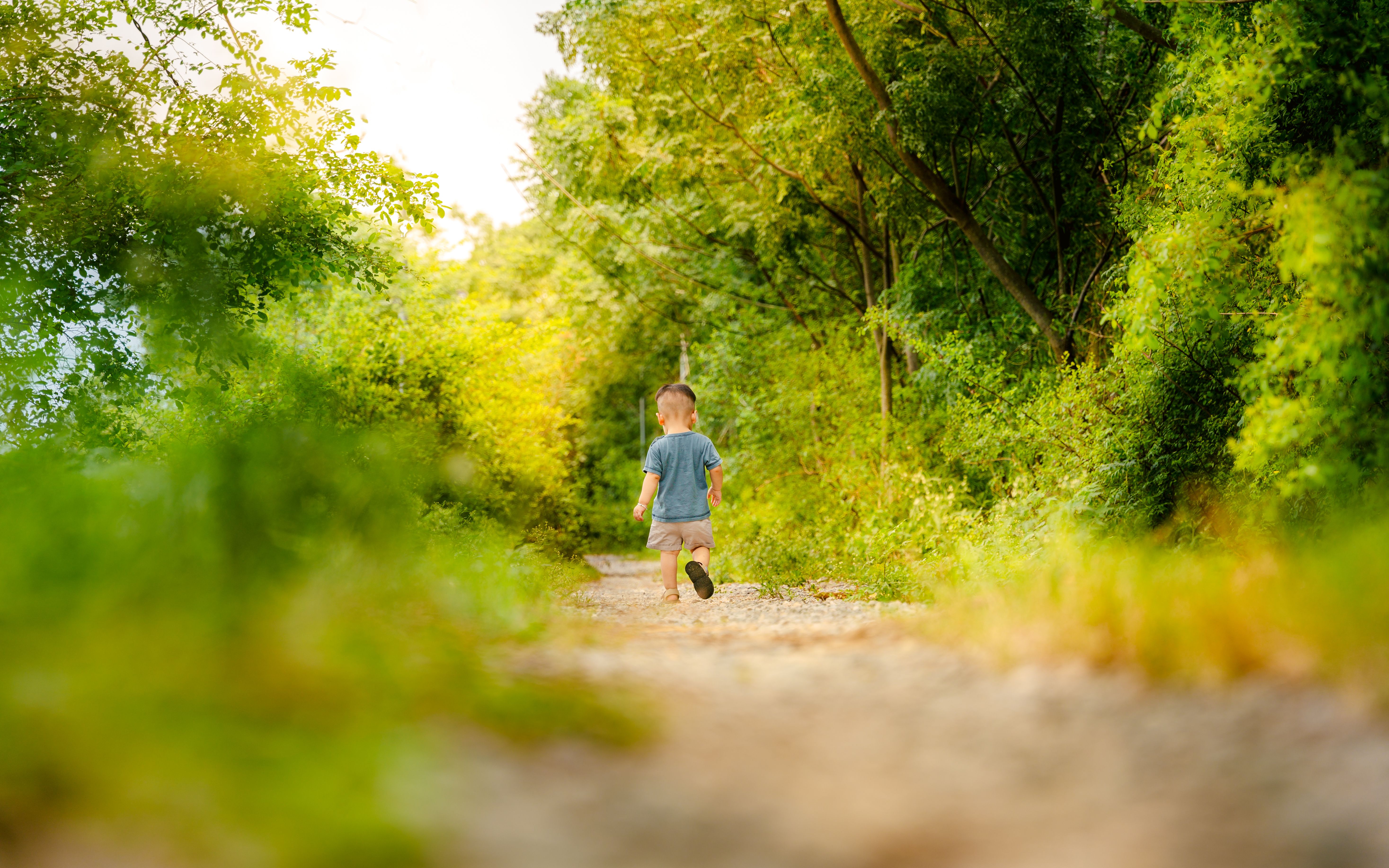 Great Parks of Hamilton County host annual kids outdoor adventure expo - FOX19 — Photo by bEn lE on Pexels