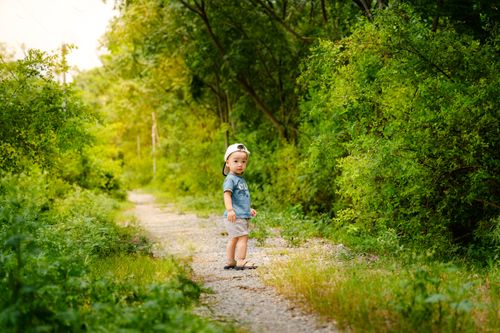 Free A young boy walking along a sunlit gravel path in a lush green forest during summer. Stock Photo