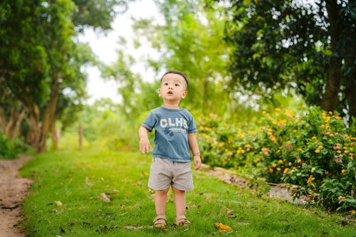 Free A young child enjoys a bright day in a vibrant park filled with greenery and flowers. Stock Photo