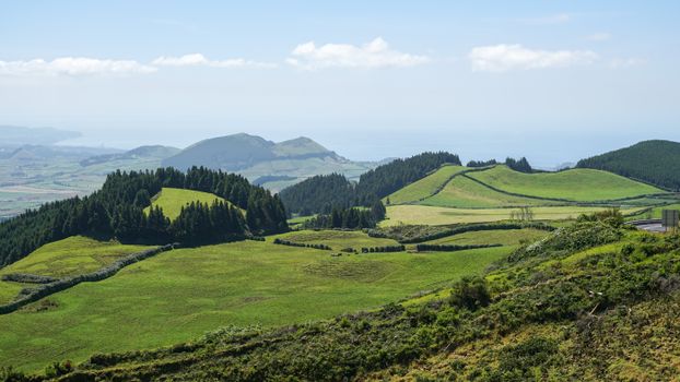 Green Fields and Forest in Countryside