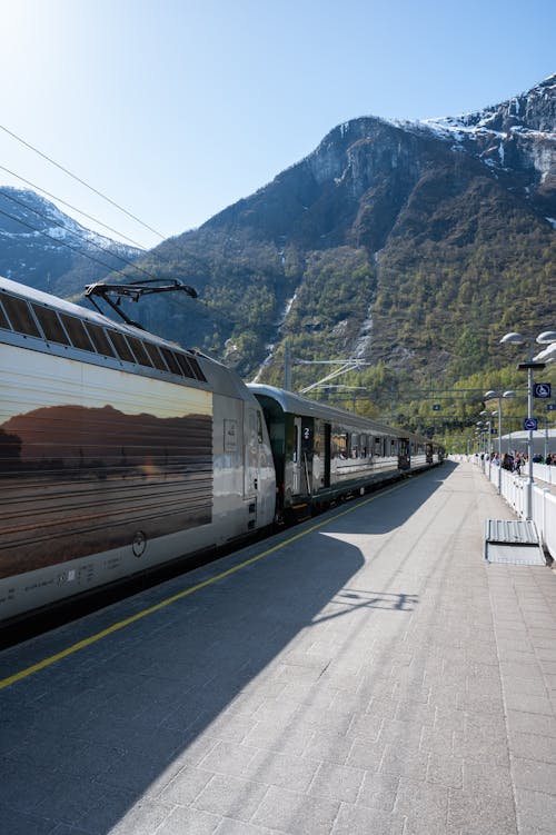 Foto d'estoc gratuïta de andana de tren, arbres, cobert de neu