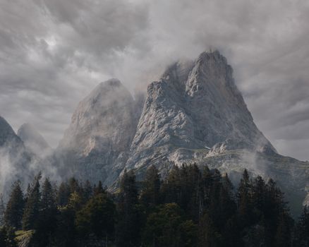 A stunning view of mist-covered mountain peaks surrounded by dense forests beneath an overcast sky.
