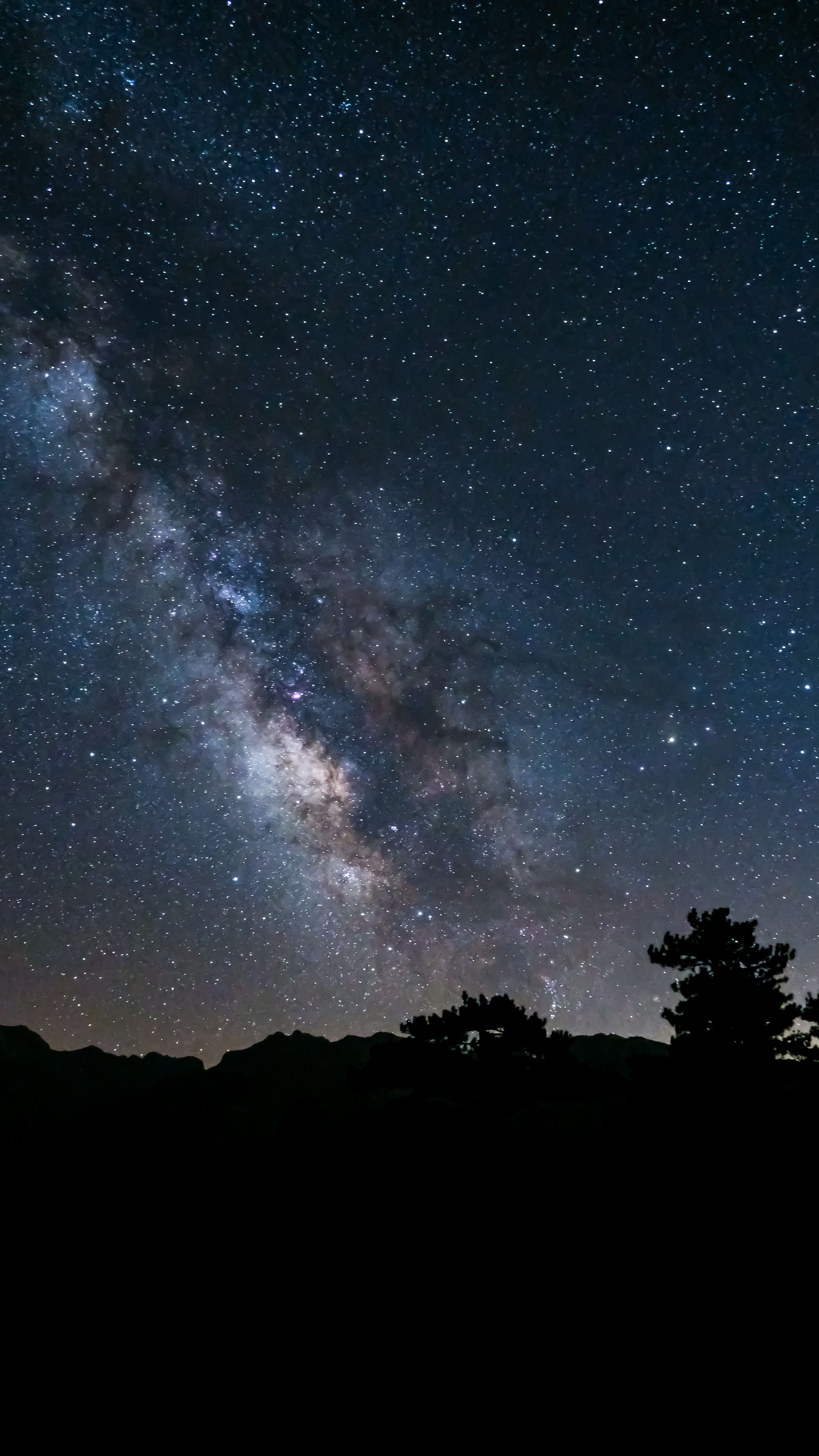 Fotomural Una vista impresionante de la galaxia Vía Láctea con la silueta de un bosque abajo.