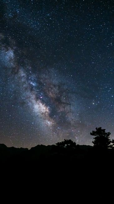 Fotomural Una vista impresionante de la galaxia Vía Láctea con la silueta de un bosque abajo.