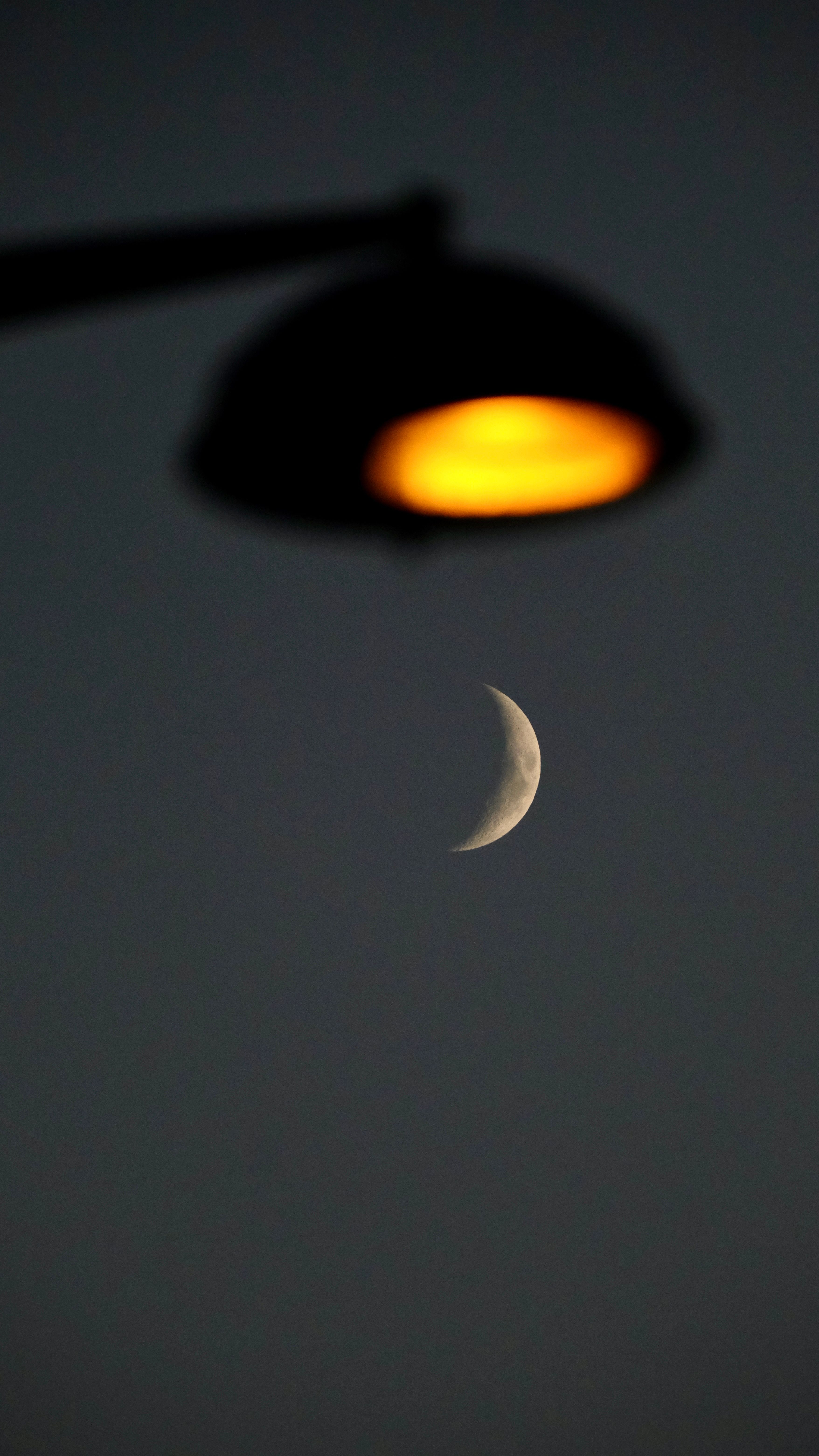 Fotomural Luna creciente resaltada por el resplandor de una farola contra un oscuro cielo nocturno.