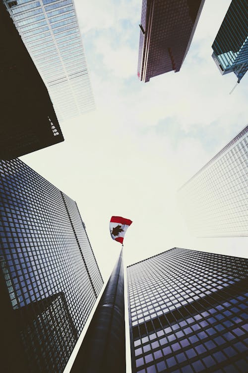 Gratis Foto De ángulo Bajo De La Bandera Canadiense Cerca De Edificios Altos Foto de stock