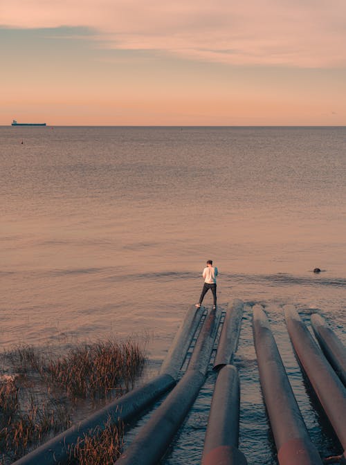 Безкоштовне стокове фото на тему «берег моря, вечір, вода»