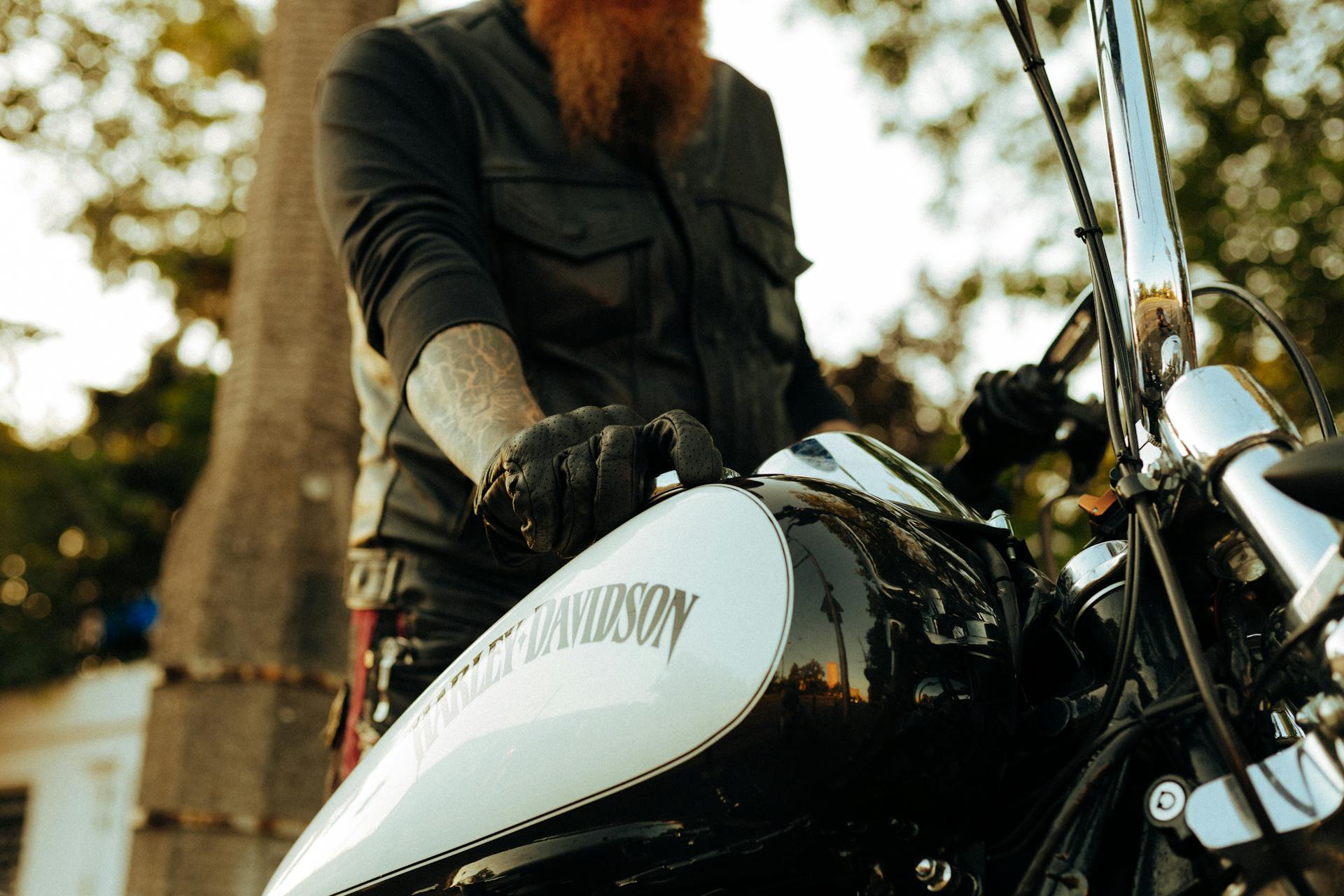 Stylish biker with a tattooed arm and a beard on a Harley Davidson motorbike, outdoors.