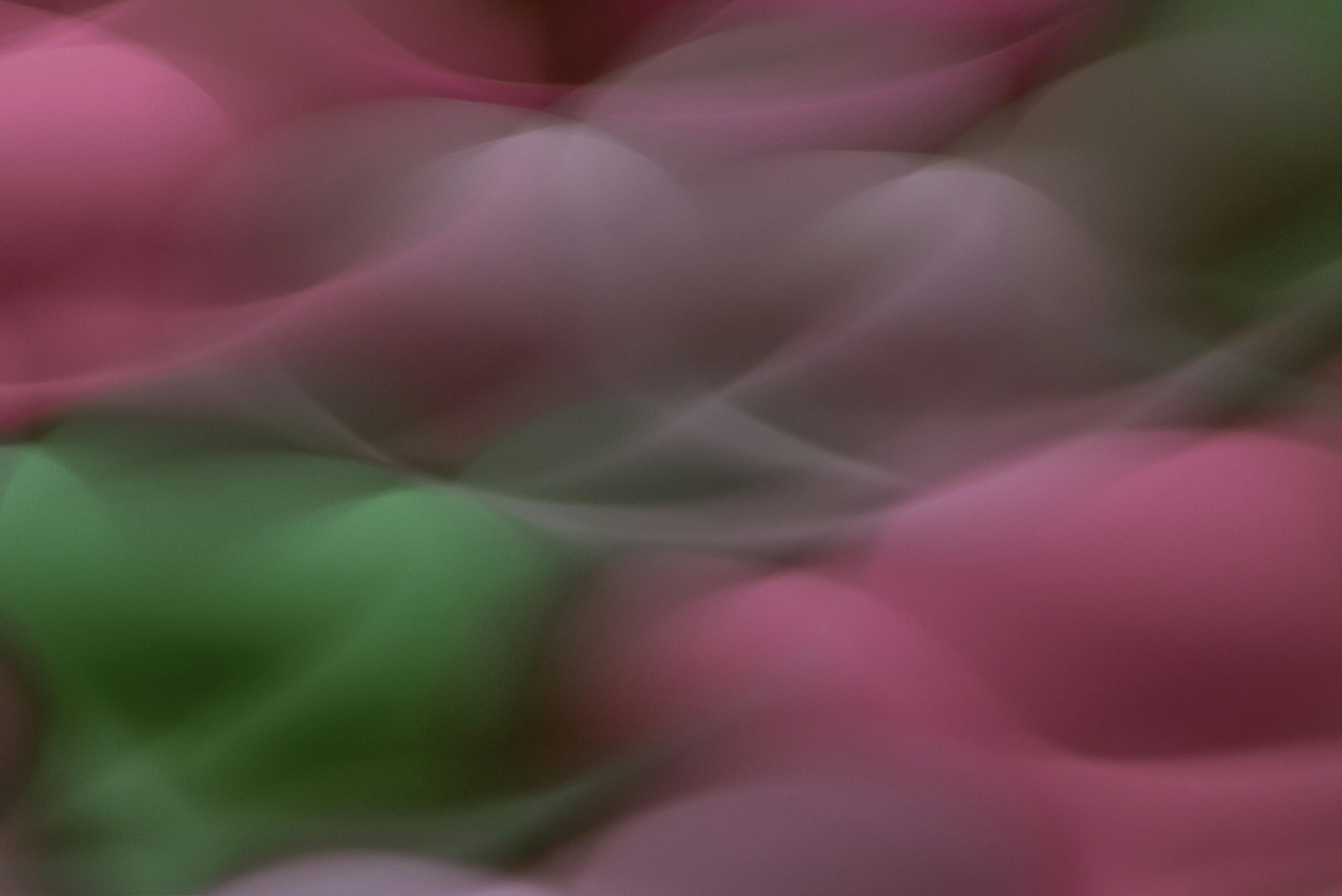 Gratuit Imagine de stoc gratuită din a închide, abstract, America de Sud Fotografie de stoc