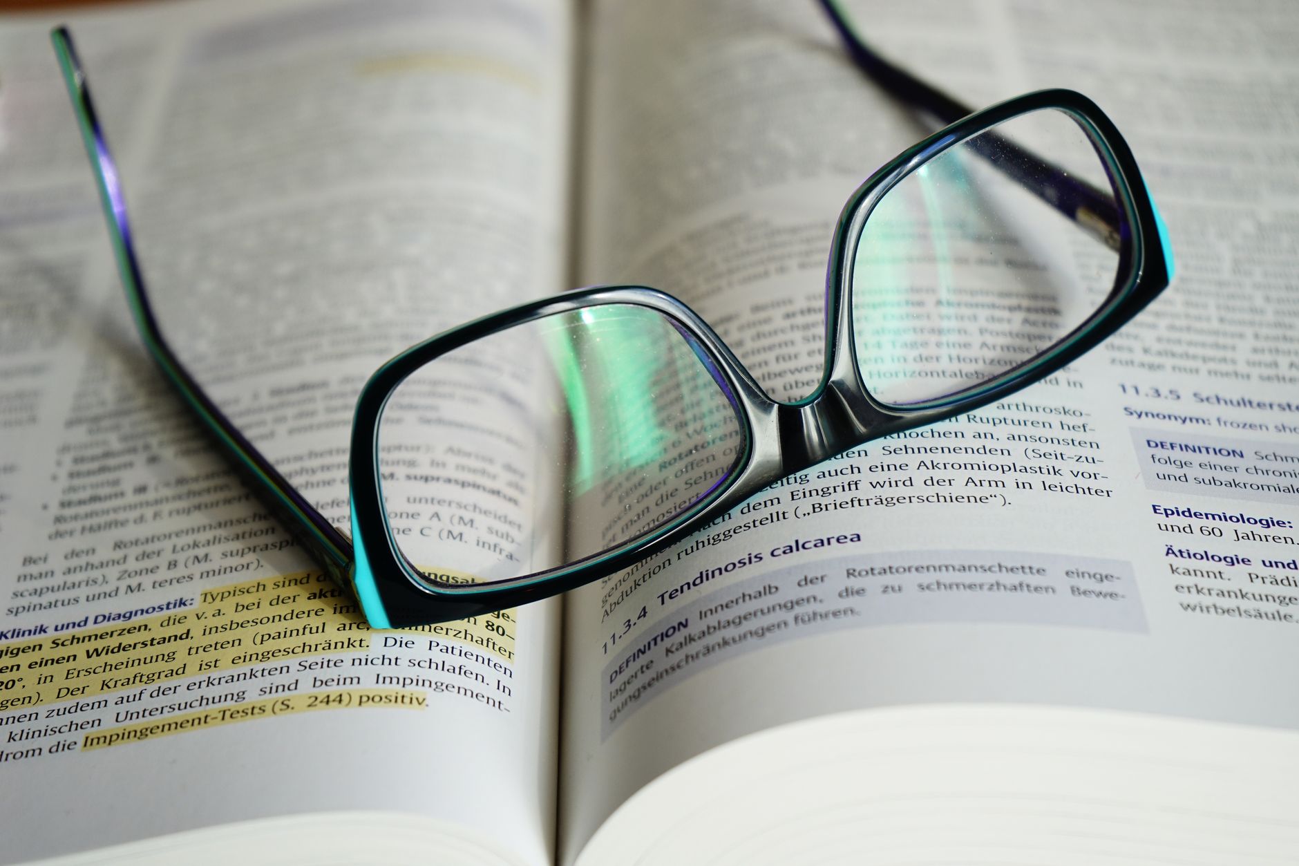 Best Reading Glasses (2026)