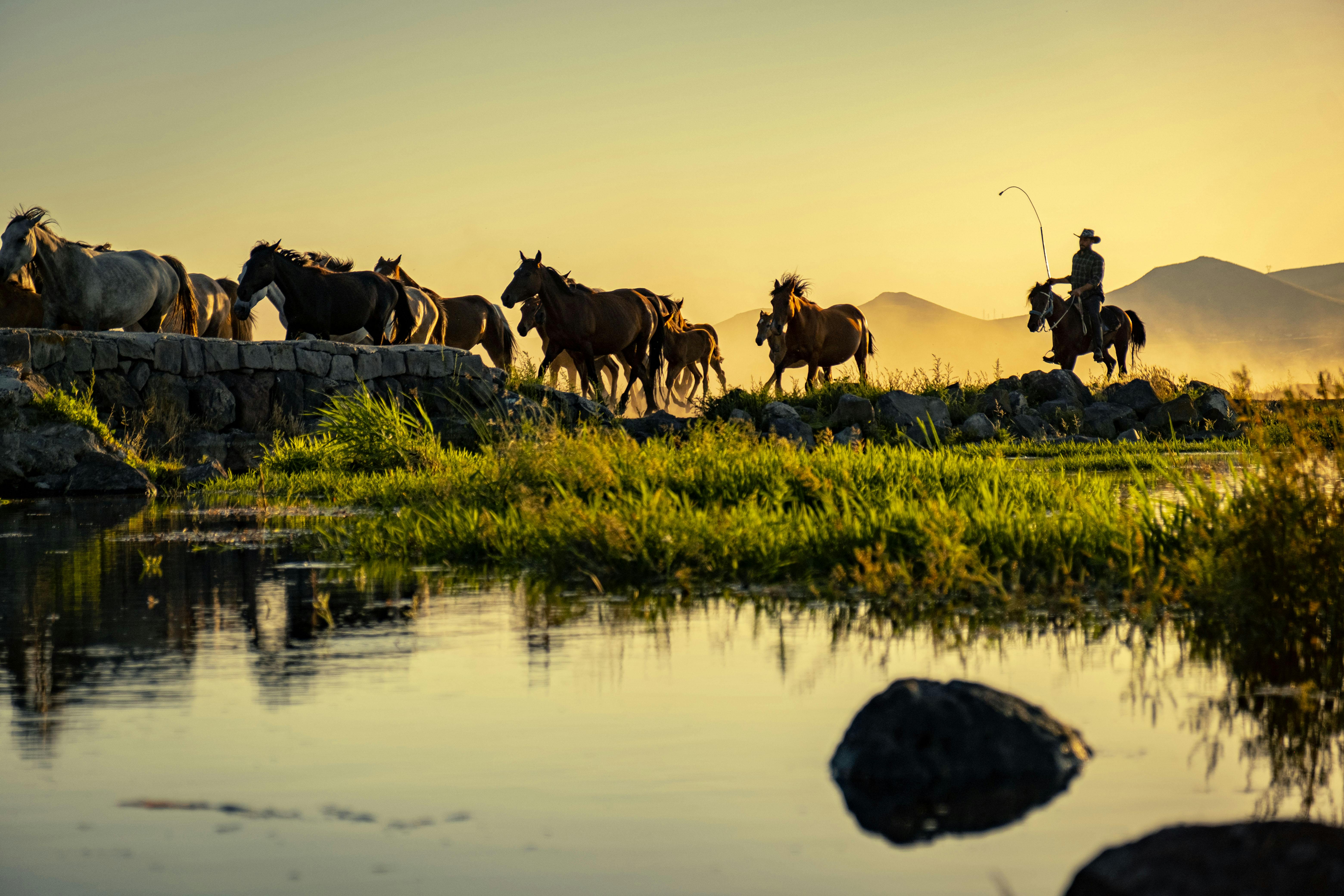 Türkiye’s population prefers Western lifestyle, survey shows — Photo by Zeynep Sude  Emek on Pexels