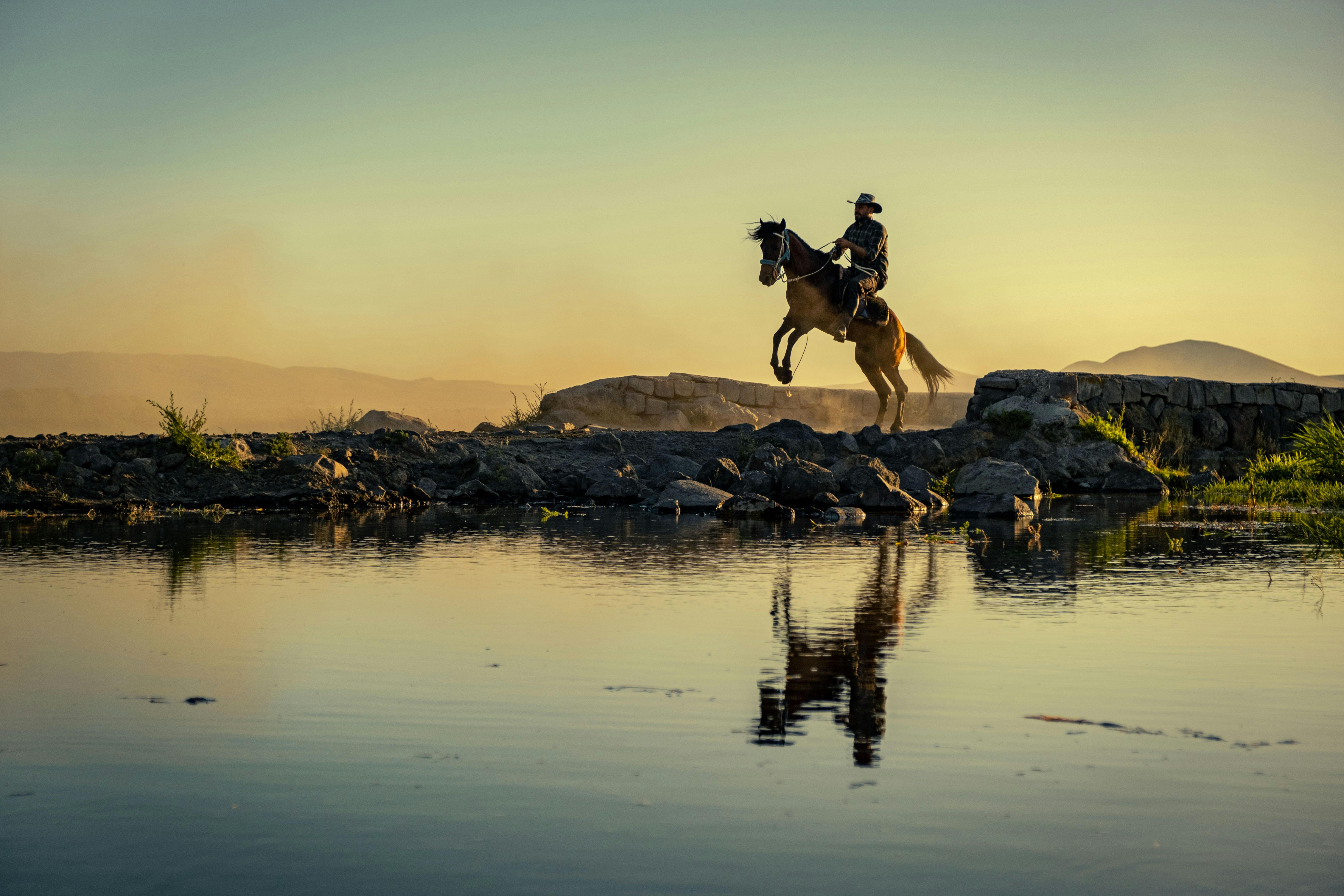 cowboy riding horse near river on field at sunset