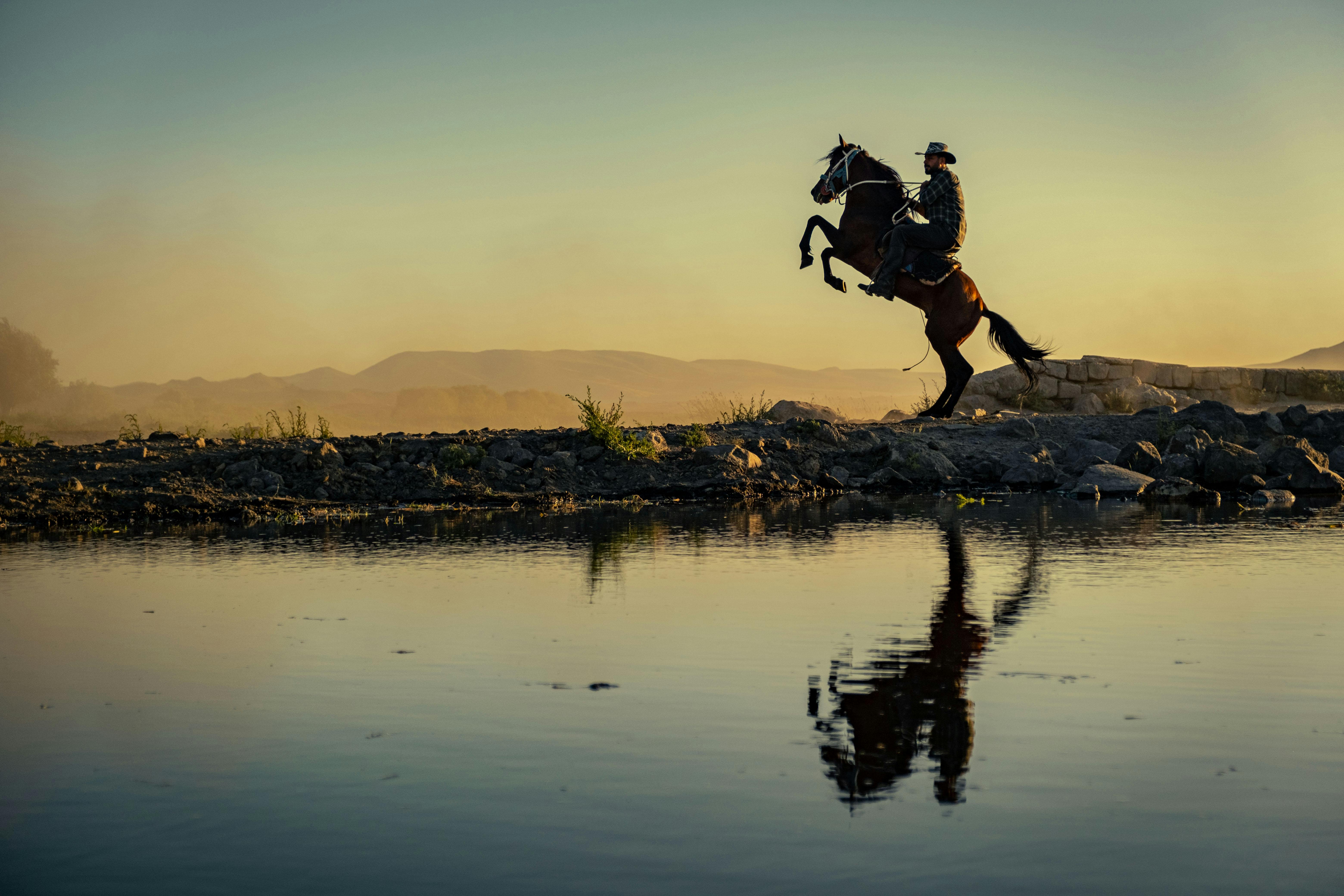 Türkiye’s population prefers Western lifestyle, survey shows — Photo by Zeynep Sude  Emek on Pexels
