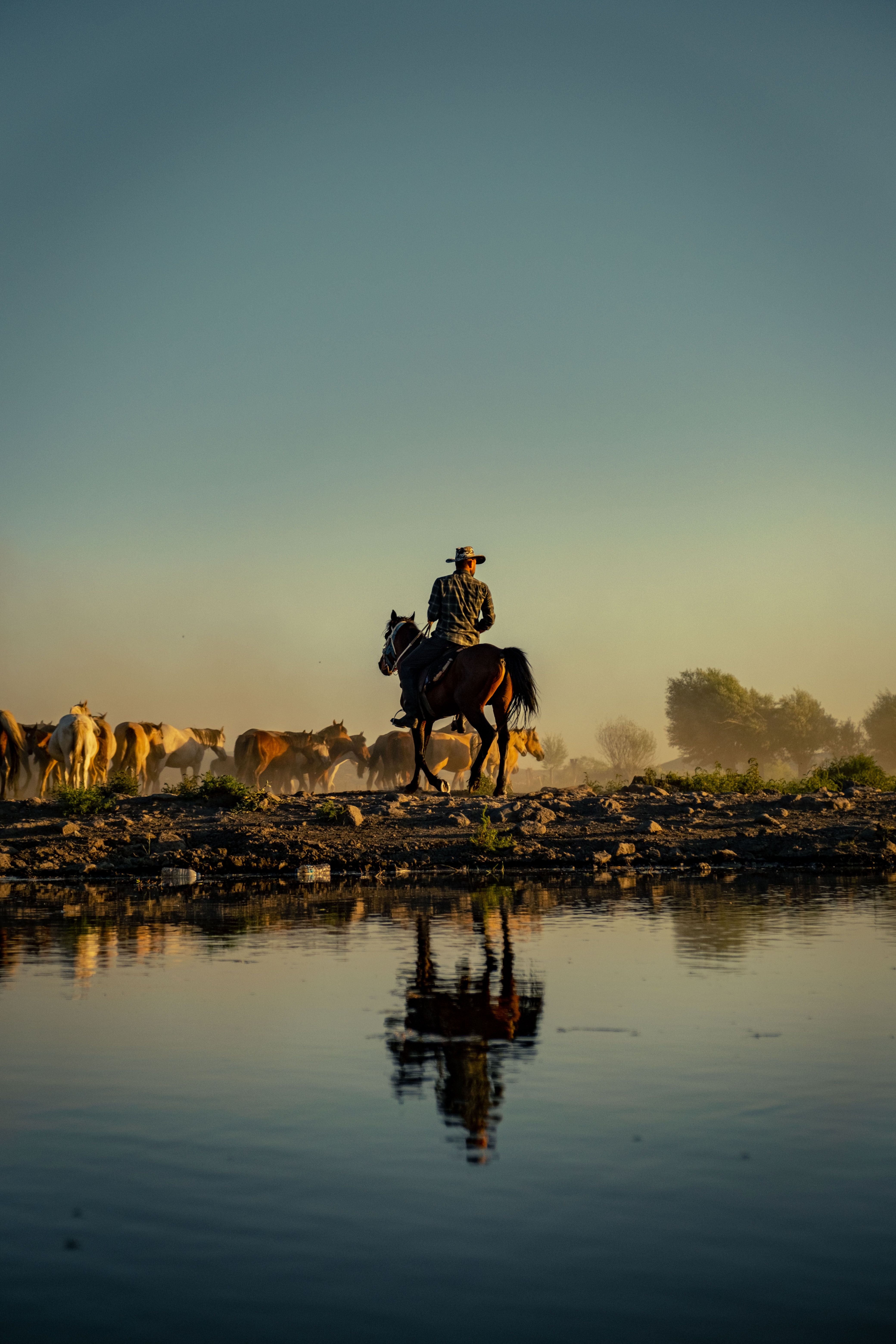 Man on Horse Reflecting in Lake · Free Stock Photo