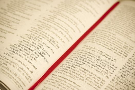 Free stock photo of blur, religion, book, catholic