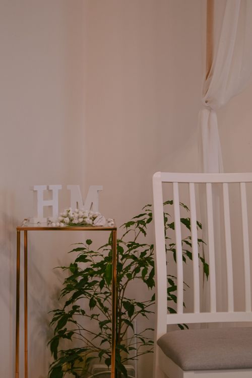 Free Stylish interior featuring greenery, modern chair and delicate curtain for elegant decor. Stock Photo