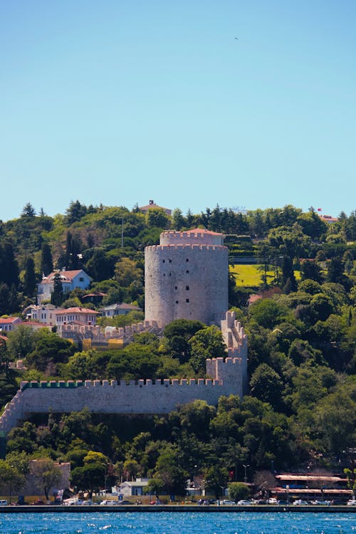 Foto d'estoc gratuïta de a l'aire lliure, aigua, arbre