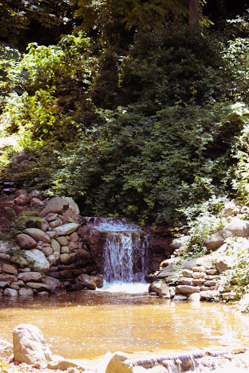 Kostnadsfri bild av vattenfall