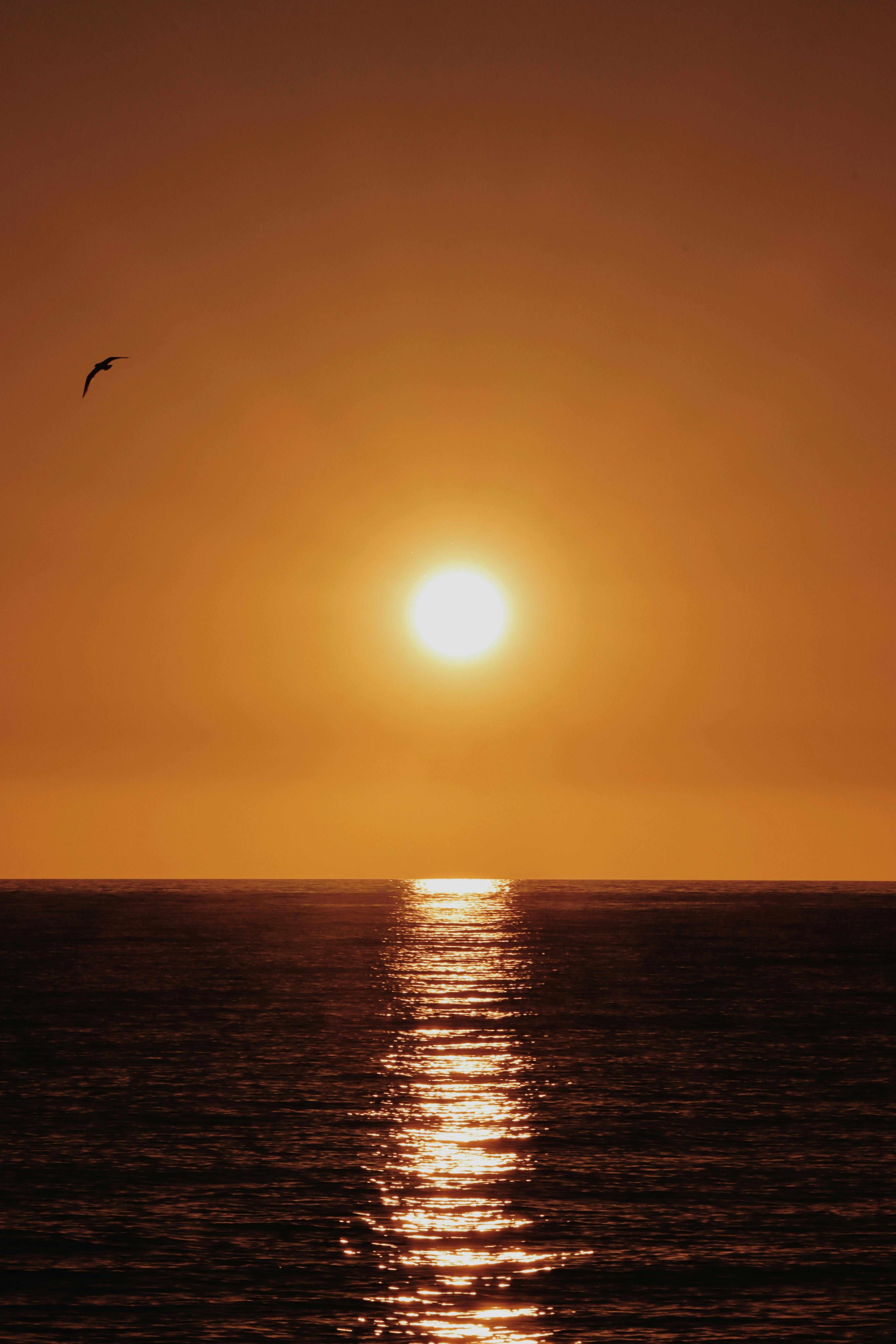 Beautiful sunset over the Baltic Sea with golden hues and serene water view from Saulkrasti, Latvia.