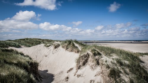 Darmowe zdjęcie z galerii z brzeg plaży, chmura, dania