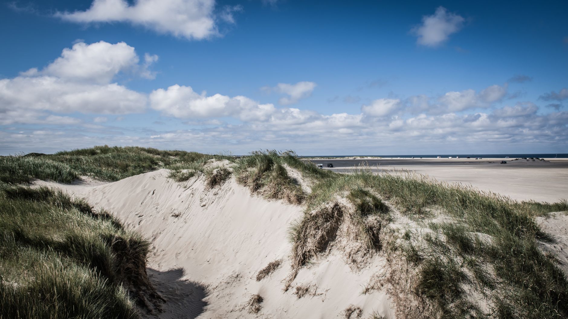 Picturesque sand dunes at Rømø Beach, Denmark, under a clear blue sky.