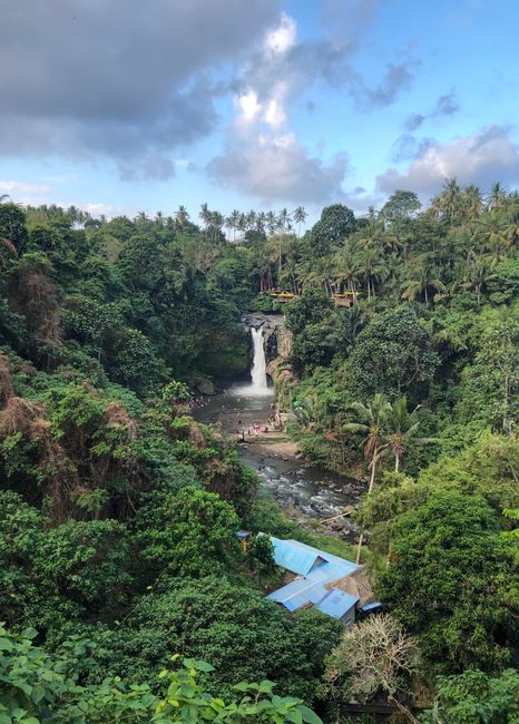 6 Curug Lawe: Petualangan Menuju Air Terjun Tersembunyi di Tengah Perkebunan Cengkih Air terjun yang diakses melalui jalur menanjak di kawasan hutan dengan pemandangan perkebunan cengkih. 6 Curug Lawe: Petualangan Menuju Air Terjun Tersembunyi di Tengah Perkebunan Cengkih Air terjun yang diakses melalui jalur menanjak di kawasan hutan dengan pemandangan perkebunan cengkih.