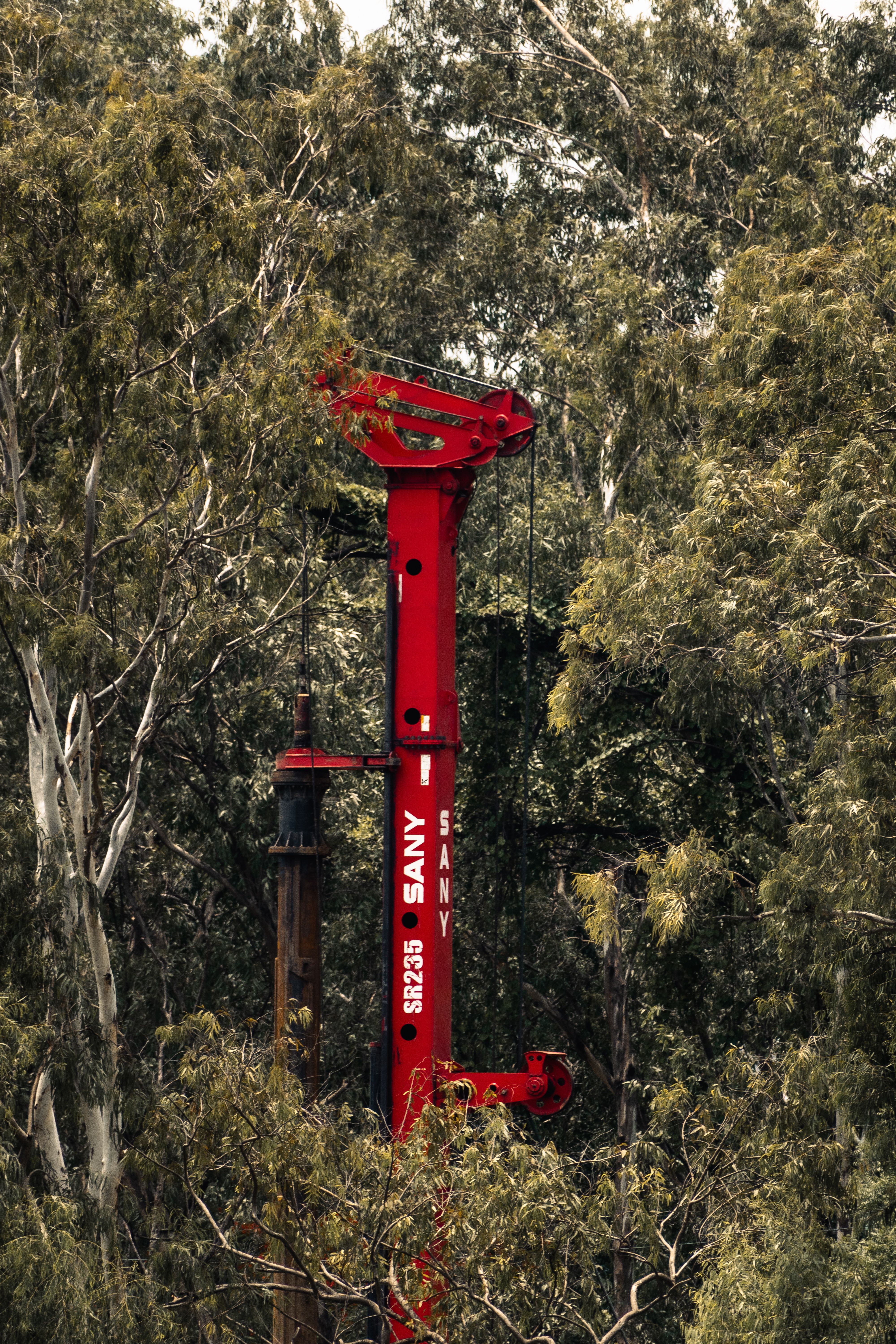 A striking red crane towering in a lush forest setting in Thane, India.