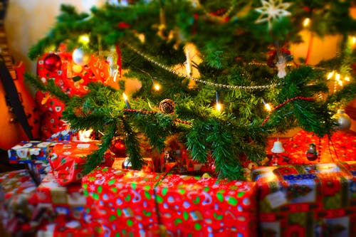 クリスマス, クリスマスツリー, プレゼントの無料の写真素材