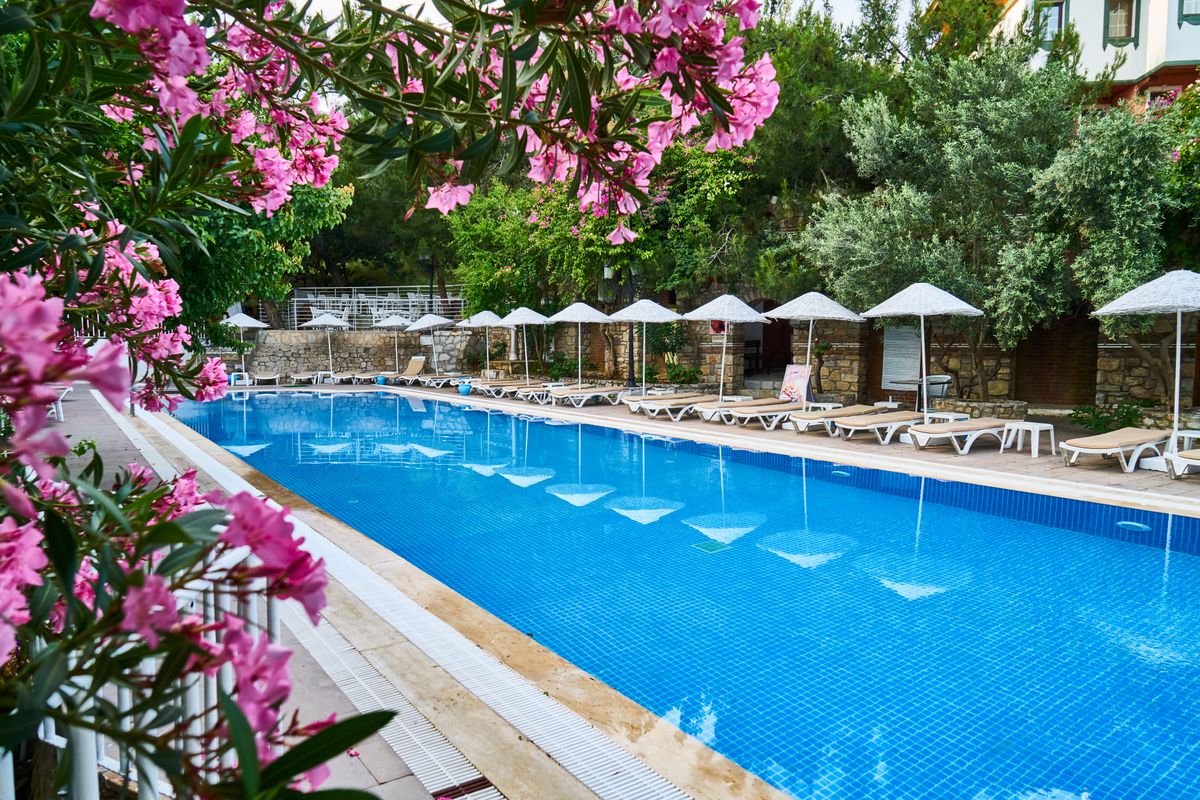 Piscina mica de hotel cu leandri, sezlonguri si pini