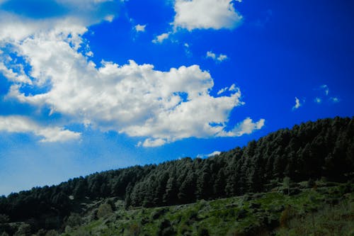 alçak bulutlar, beyaz bulut, bulut denizi içeren Ücretsiz stok fotoğraf