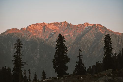 Free A stunning landscape of mountains and fir trees at sunset, capturing nature's beauty. Stock Photo