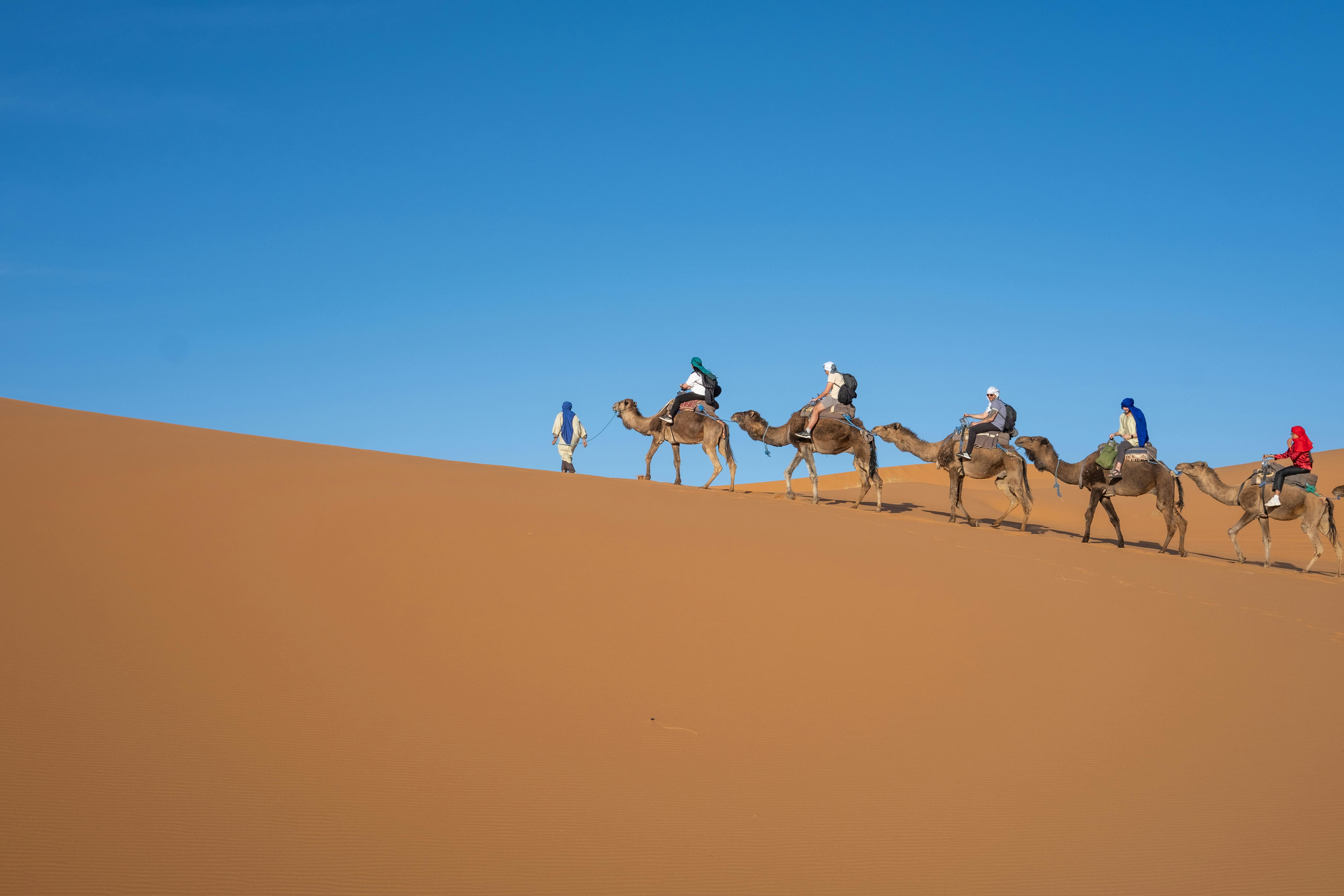 general travel agency — Photo by Emrecan Algül on Pexels