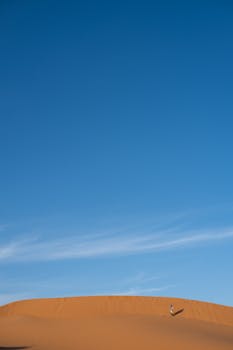 A lone person stands on a vast desert dune under a bright blue sky, capturing solitude.