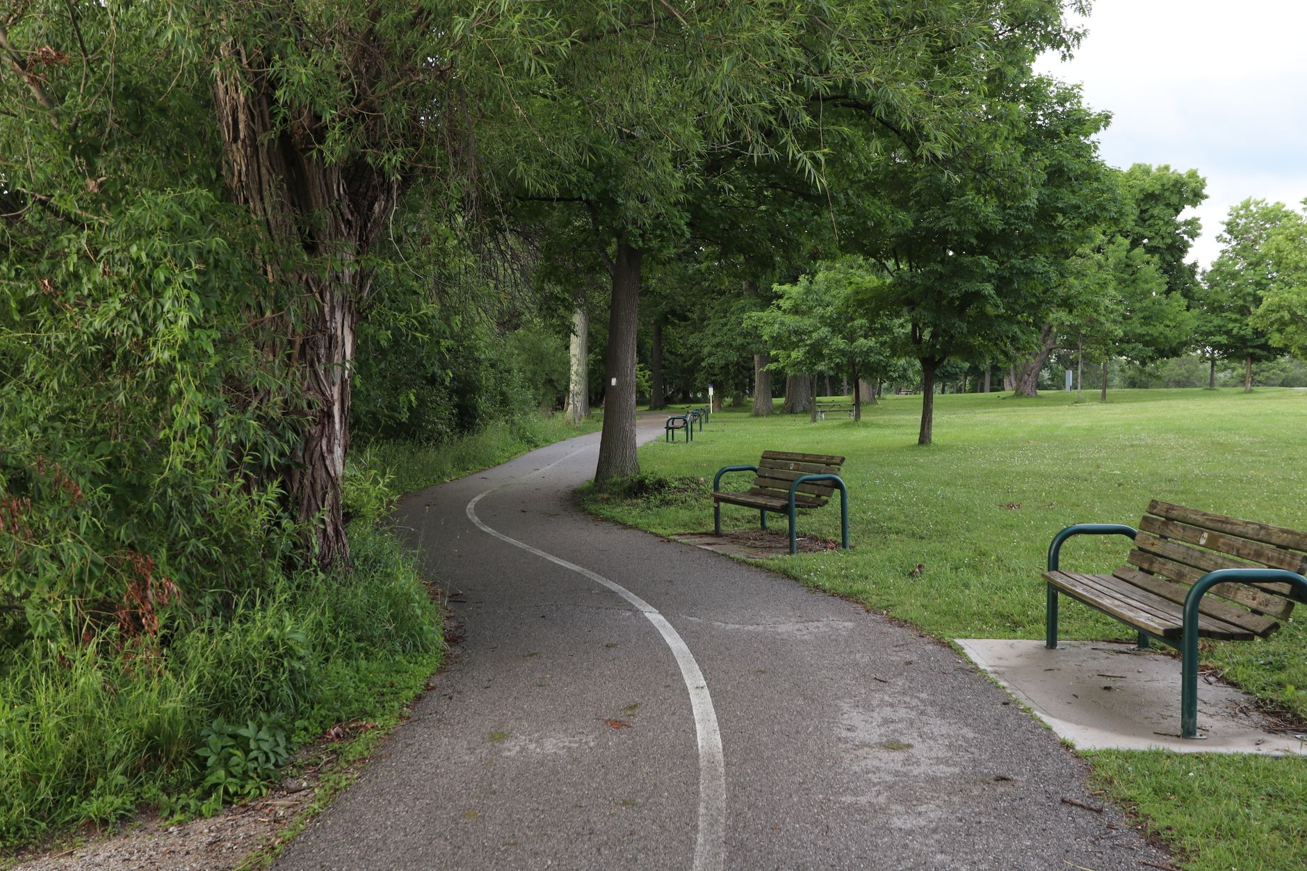 Peaceful tree-lined pathway in an urban park with benches on a sunny day.