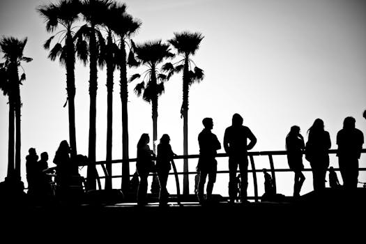Silhouettes of people standing near palm trees at sunset, black and white photo.