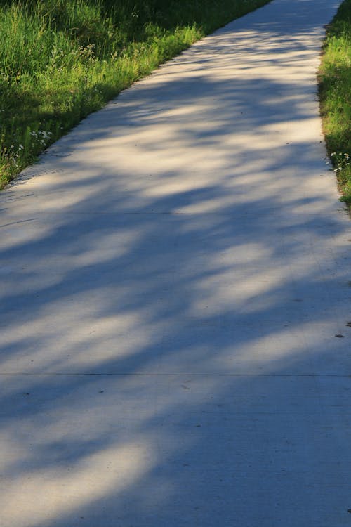 Free stock photo of bike path, path, shadow
