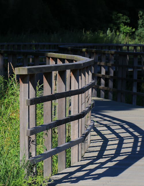 Free stock photo of bikeway, bridge, shadowplay