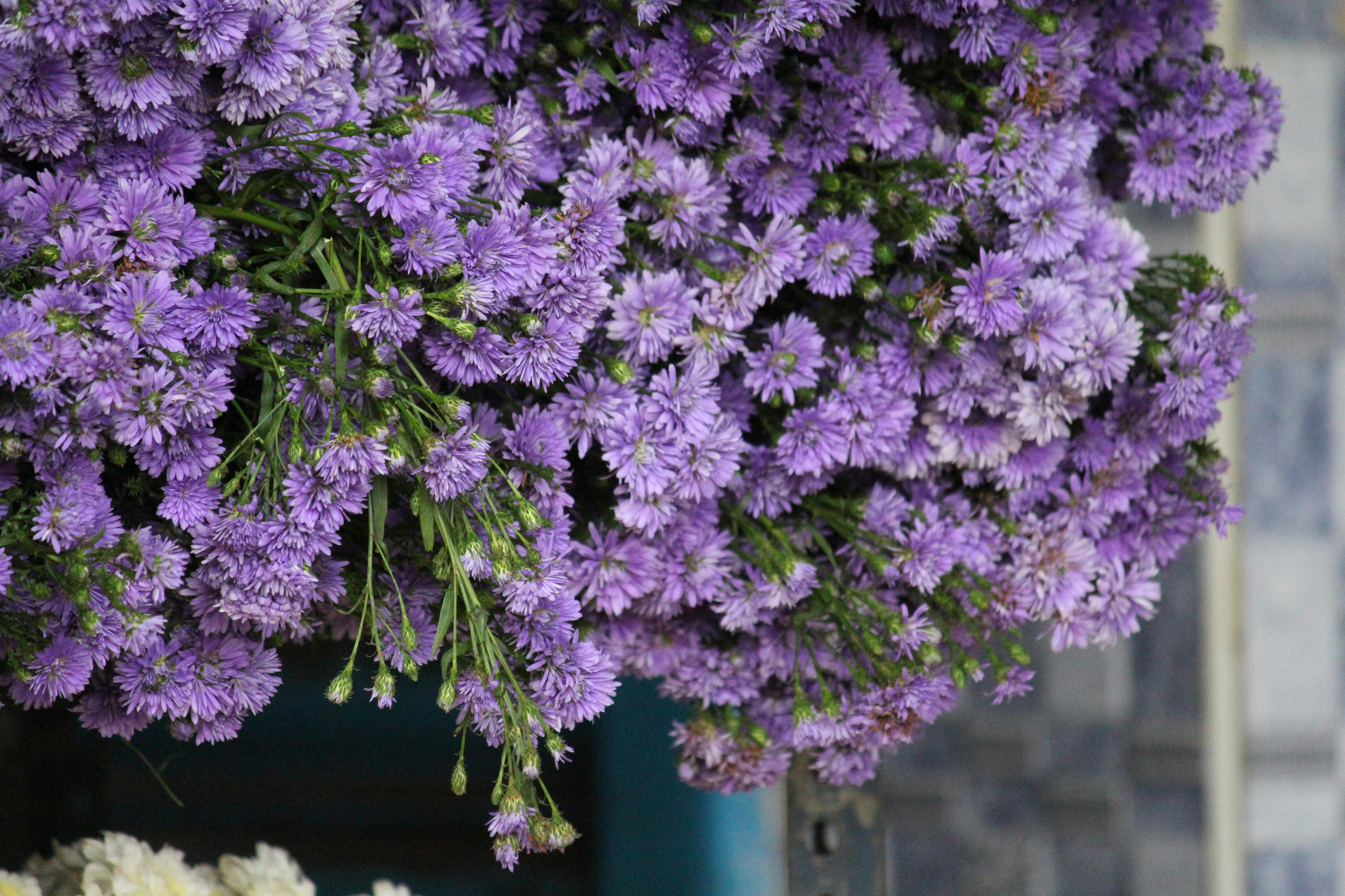 Person sitting on a bench in a city park, holding a phone but looking away thoughtfully