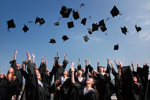 Newly Graduated People Wearing Black Academy Gowns Throwing Hats Up in the Air