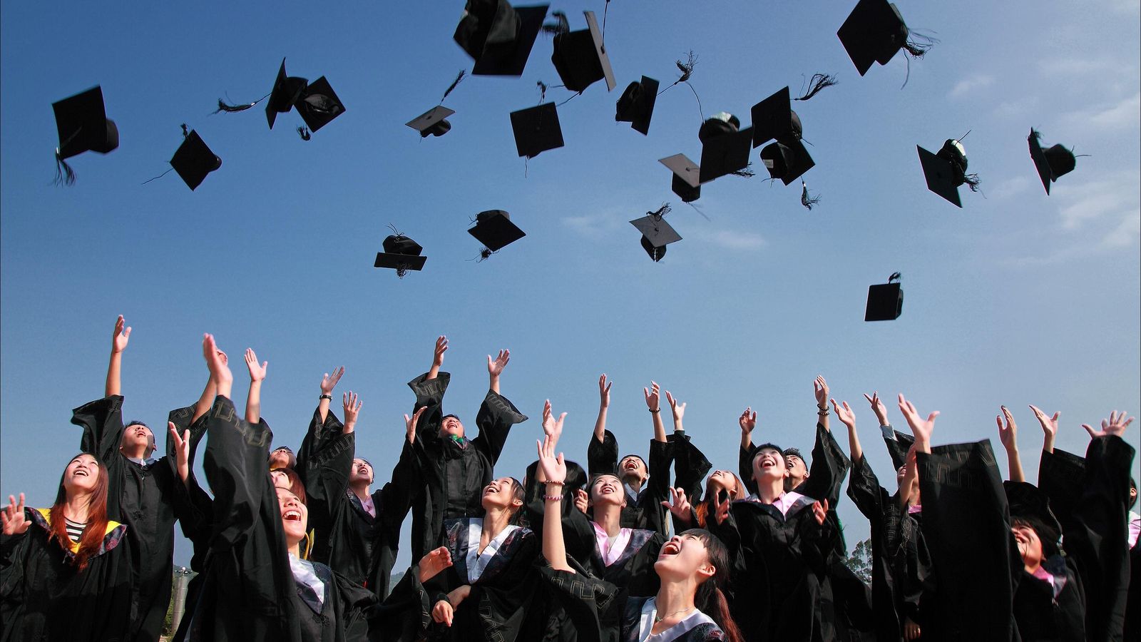 A diploma and documents