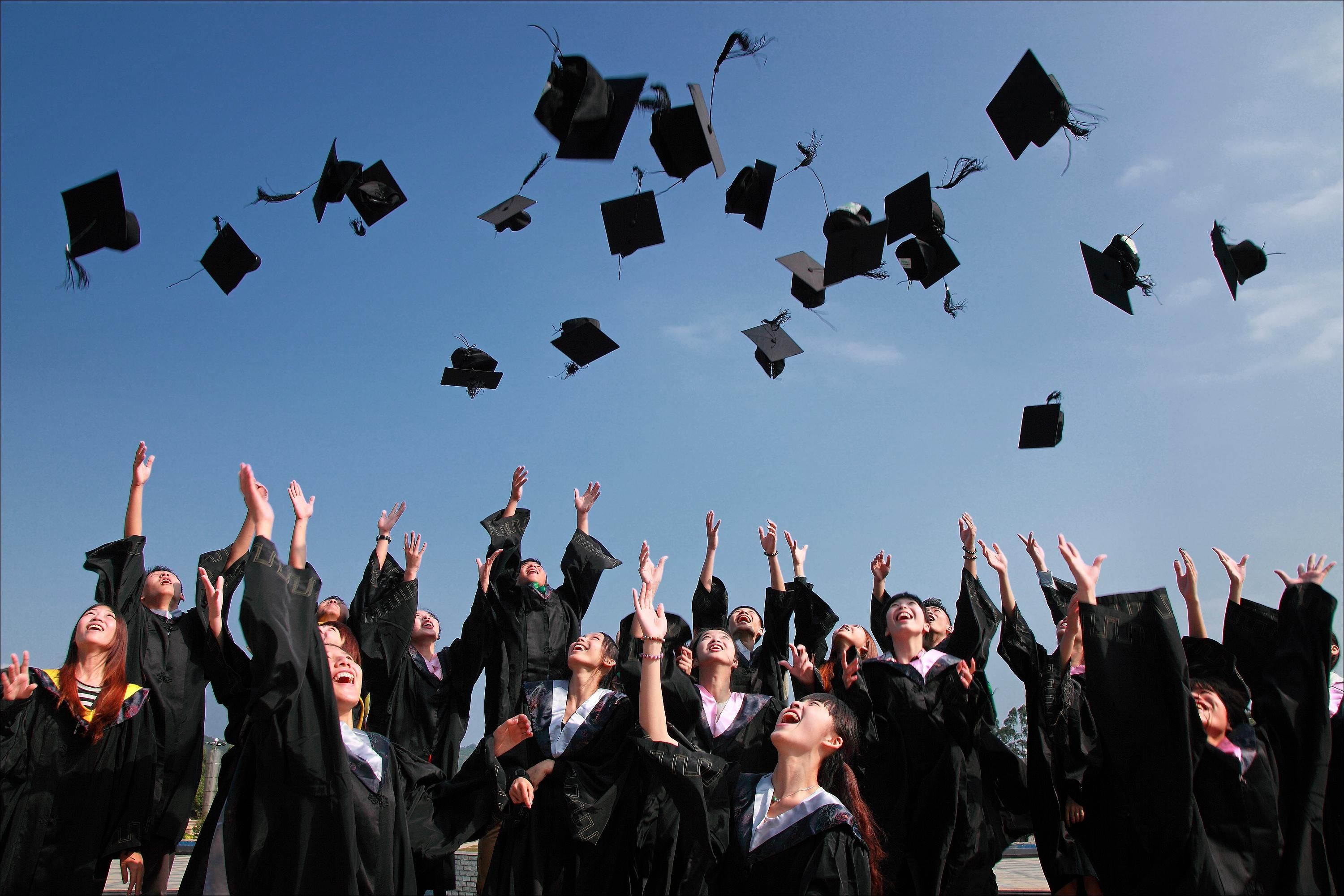 Bachelor's Degree Programs