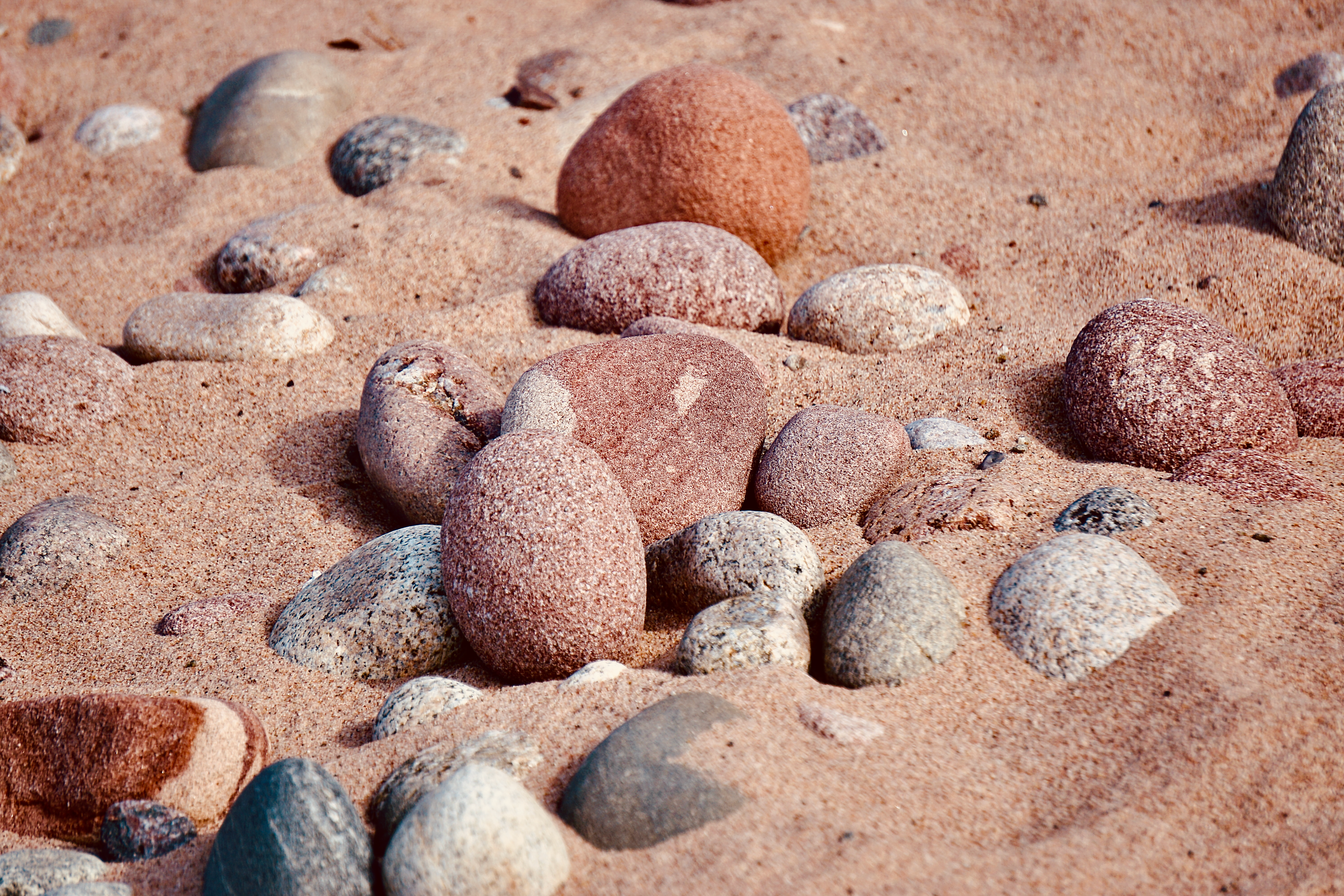 Close-up of smooth stones scattered across a sandy beach, showcasing natural patterns and textures.