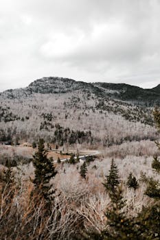 在多云的天空下，北卡罗来纳州的山景郁郁葱葱，森林茂密