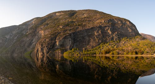 Foto d'estoc gratuïta de aigües blaves, alt, arbre