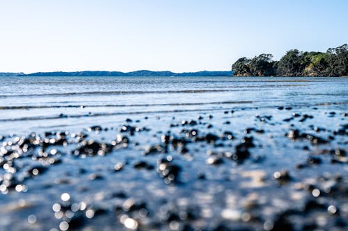 Kostenloses Stock Foto zu fluss, h2o, landschaft