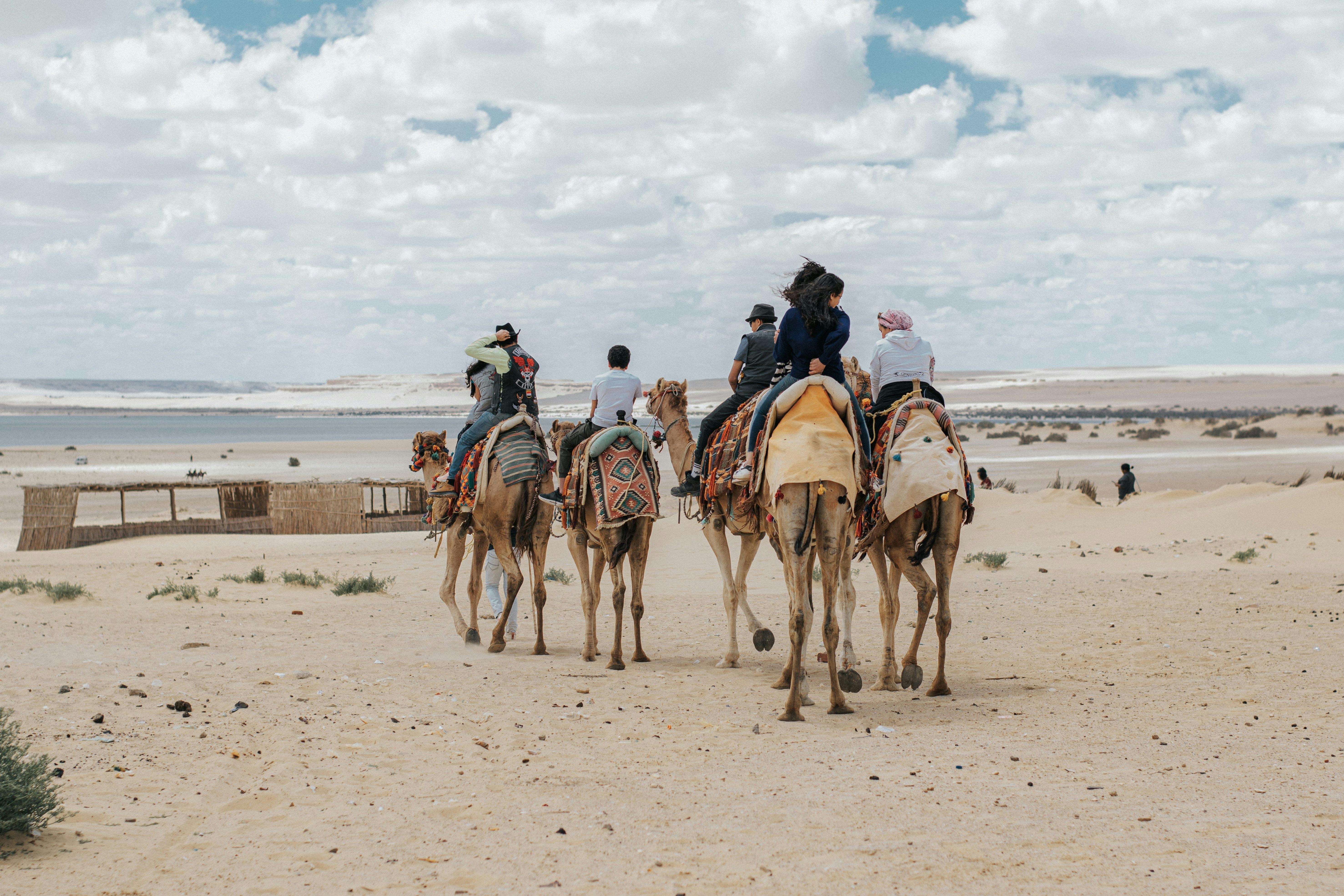 Family Traveller-Sailawaze Live showcases immersive travel inspiration — Photo by fady Adel Ramzy on Pexels